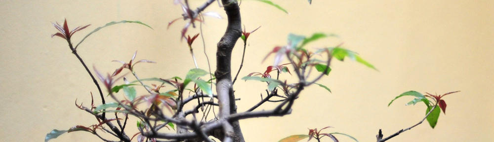 医療保険が使える訪問マッサージの健真堂